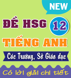 Đề thi Học Sinh Giỏi Tiếng Anh cấp Tỉnh, cấp Trường 2025 - 2026